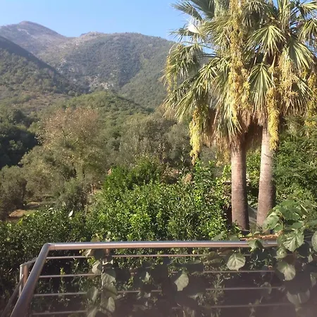 Ferienwohnung Palme E Mare Lejlighed